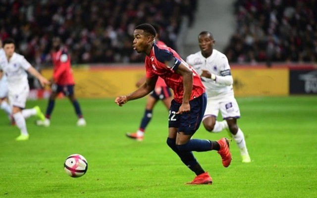 等高热度词 等高热度词